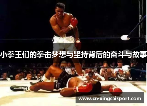 小拳王们的拳击梦想与坚持背后的奋斗与故事