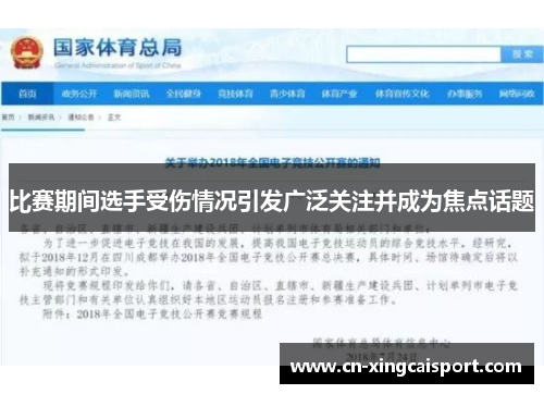 比赛期间选手受伤情况引发广泛关注并成为焦点话题