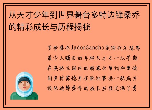 从天才少年到世界舞台多特边锋桑乔的精彩成长与历程揭秘