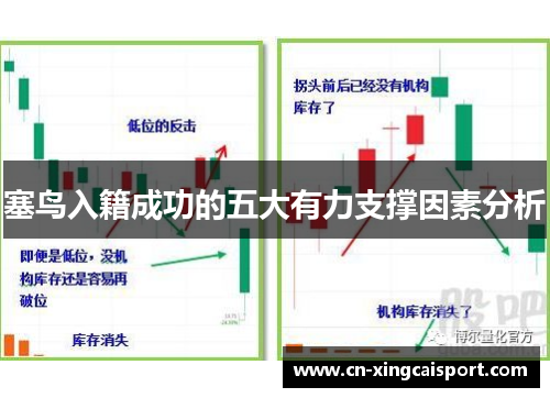 塞鸟入籍成功的五大有力支撑因素分析