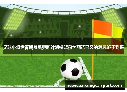 足球小将世青篇最新更新计划揭晓粉丝期待已久的消息终于到来